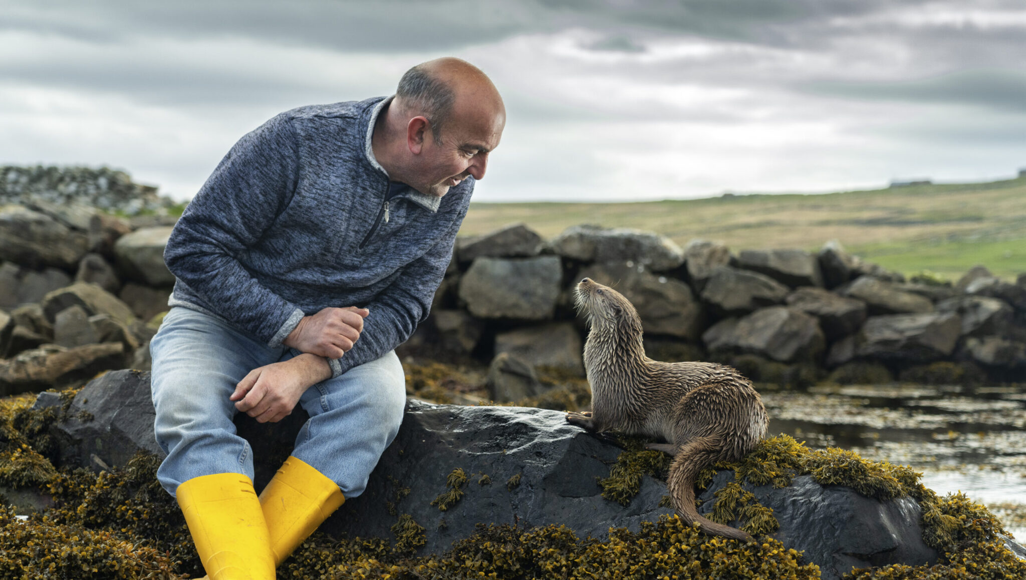 972 Breakdowns « Filmcasino